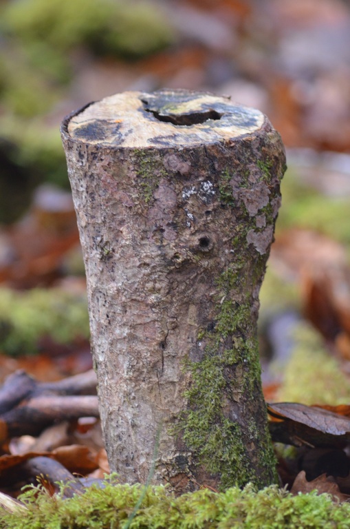 2013-12 Wales/Bryn Gwynant/DSC_0187.JPG